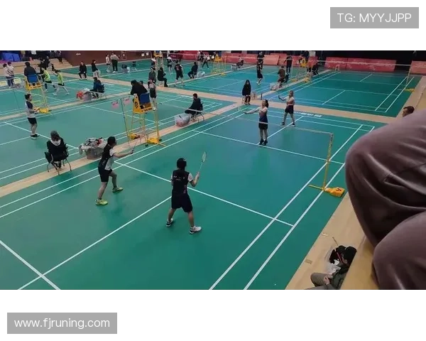 成都羽毛球队战术分析揭示其在全国羽毛球战术排行榜中排名第4的原因与优势