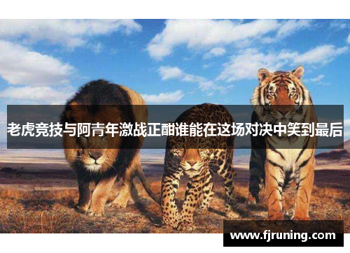 老虎竞技与阿青年激战正酣谁能在这场对决中笑到最后